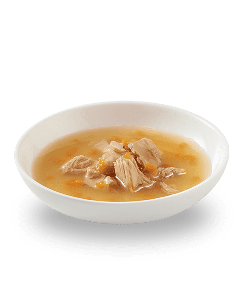 Schesir Gatto Soup Salmone Rosa con Carote 85gr Schesir Gatto Soup Salmone Rosa con Carote 85gr